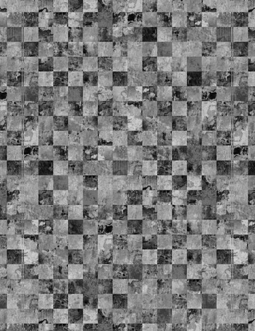 Панно и фотообои Eco Black and White 6096