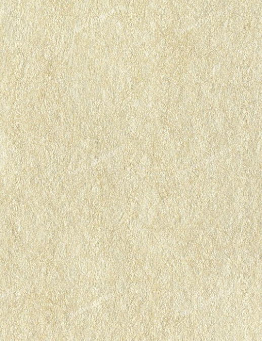 Обои York Ronald Redding - Sculptured Surfaces II NA0272