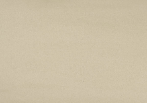Ткань Designers Guild Santiago F1649/01