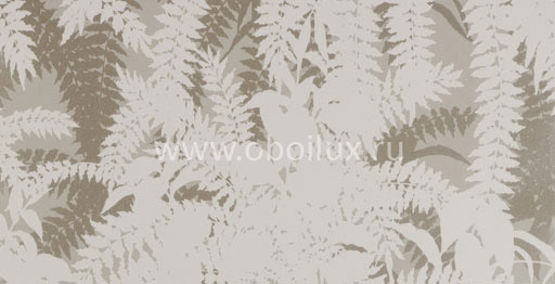 Обои Hookedonwalls Jealous Walls 77105