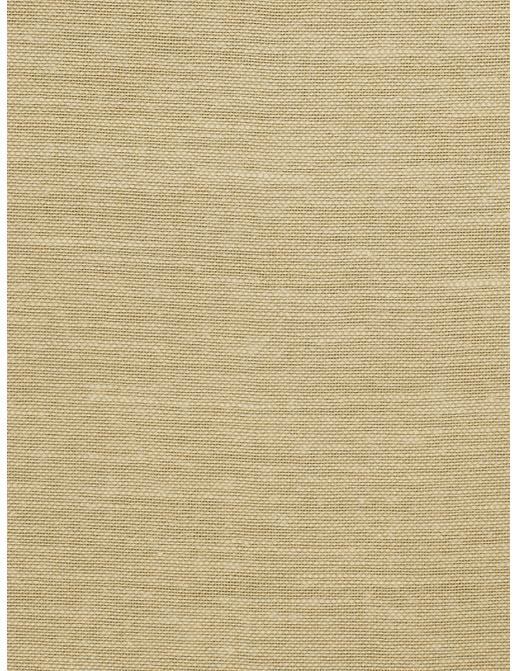 Ткань Trend Lemon Zest Cashew Prints & Wovens Vol.III 02626/Cashew