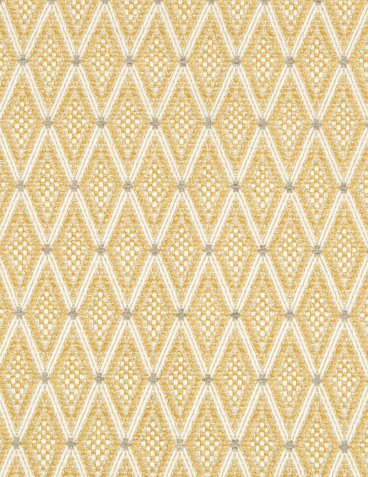 Ткань Kravet Gis Performance Honey 34699/16