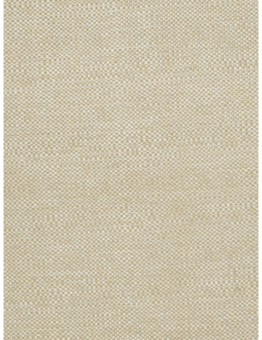 Ткань Trend Lemon Zest Cashew Prints & Wovens Vol.III 02628/Oatmeal