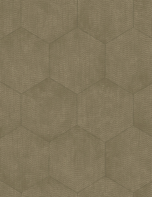 Обои Cole & Son Curio 107/6028