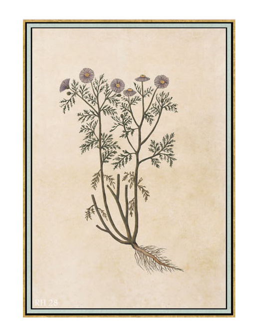 Панно и фотообои Iksel Scenic & Architectural Wallpapers Renaissance Herbier RH28