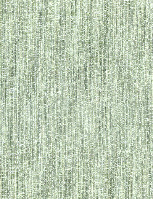 Обои Sirpi AltaGamma Fibers 25854