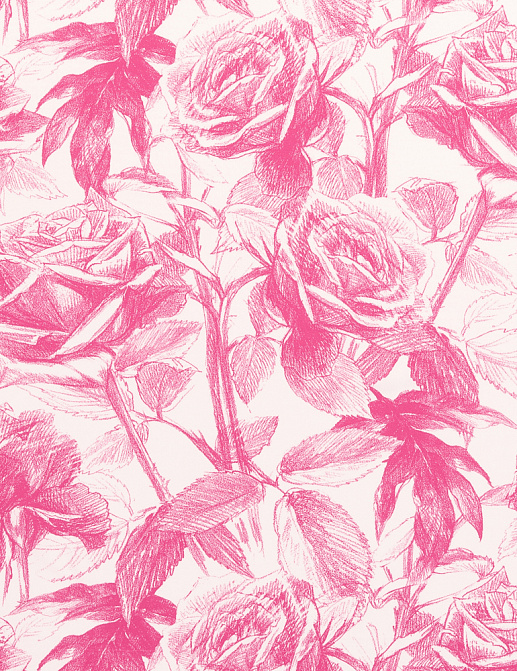Ткань Clarke & Clarke Floribunda F0474/04