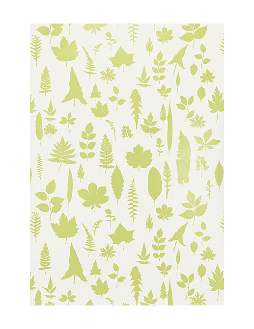 Обои Schumacher Modern Nature 5005021