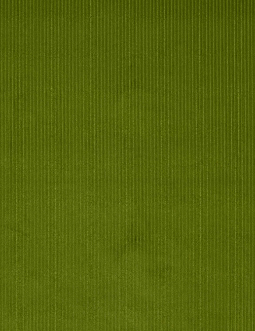 Ткань Manuel Canovas Roma M4066-08