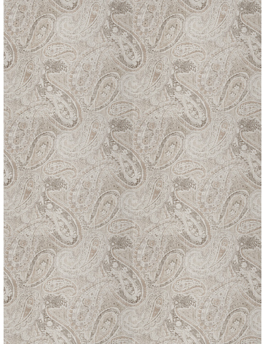 Ткань Fabricut Chromatics Vol.XXV Oyster Celan paisley/Birch