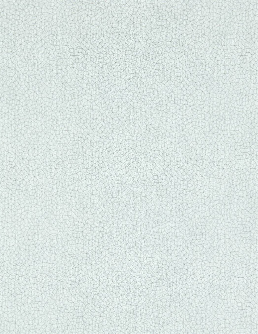 Обои Harlequin Textured Walls 112124