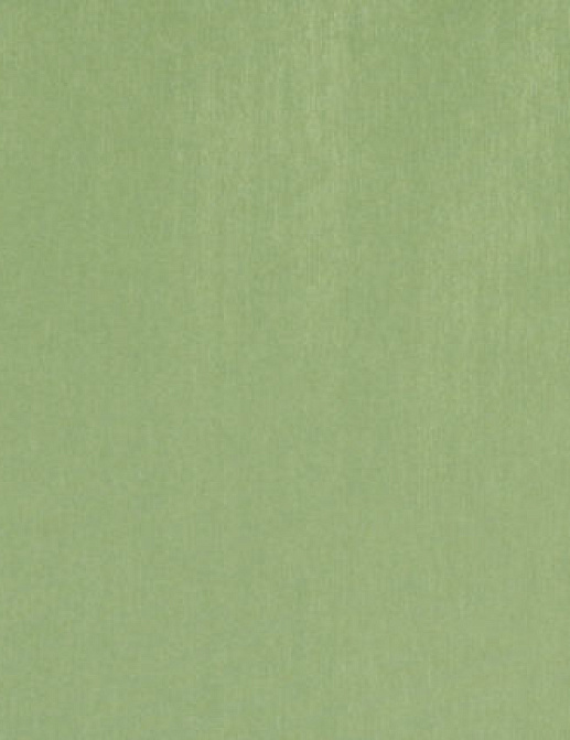 Ткань Designers Guild Brenan F1632/20