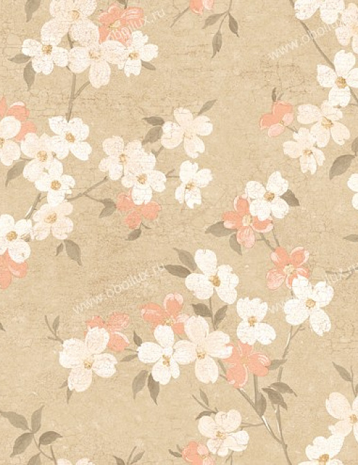 Обои York West Wind Design WW4446