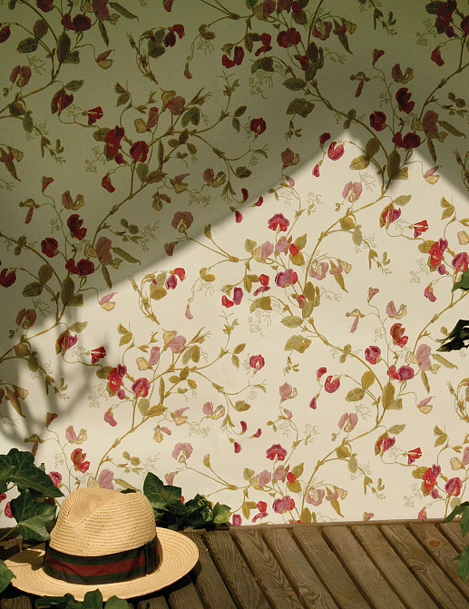 Обои Cole & Son Collection of Flowers 81/11048