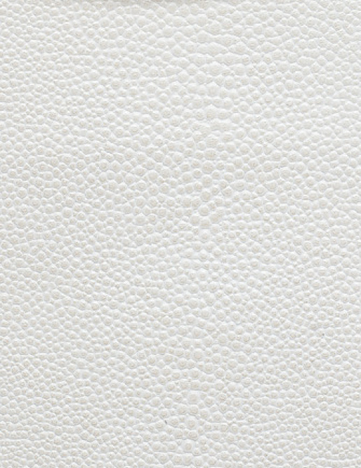 Ткань Holly Hunt Holly Hunt Leather 6000/46