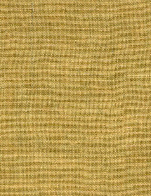 Ткань Pierre Frey Garden Turquoise O7765013