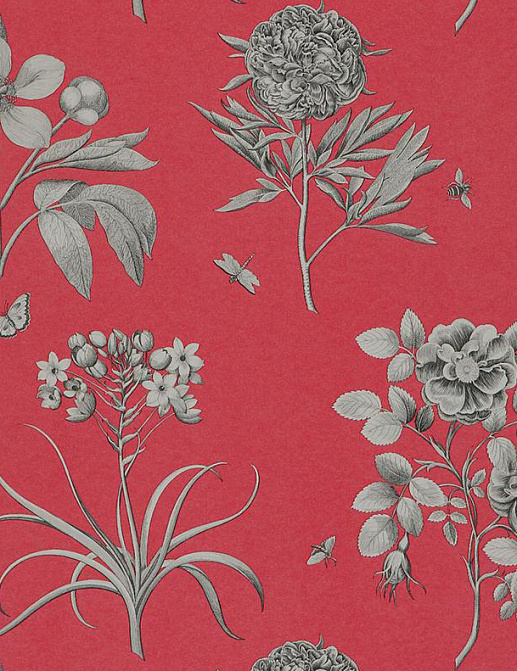 Обои Sanderson Parchment Flowers DPFWER101