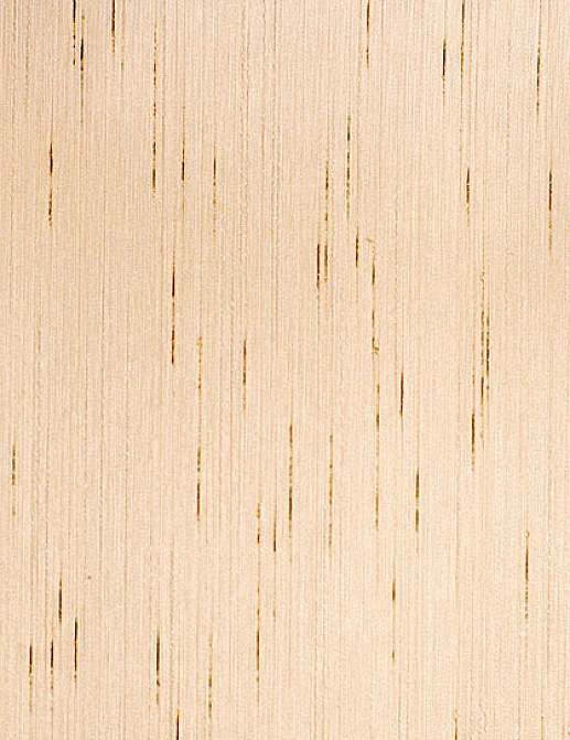 Обои Sangiorgio Texwall Line - Living TL52