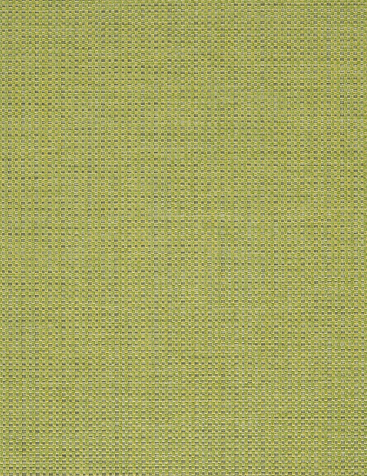 Ткань Designers Guild Morvern F2019/16