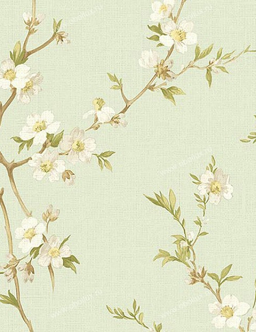 Обои Chesapeake Natural Living NL58175