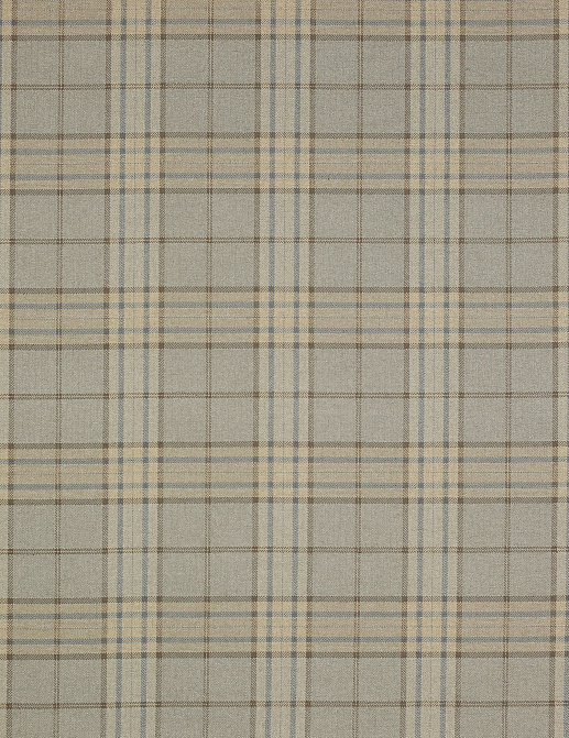 Ткань Colefax and Fowler Magnus Checks F4238/01