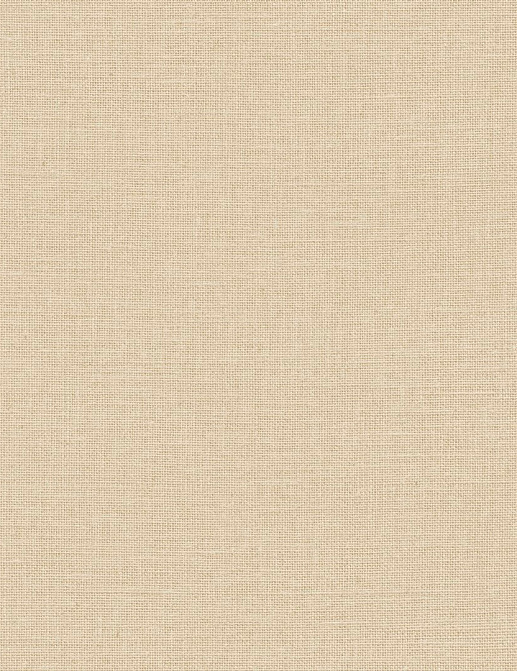 Обои Caselio Mix & Stripes MIP104011136