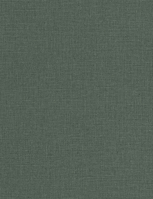 Обои Caselio Jute JTE104017850