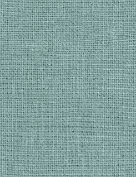 Обои Caselio Jute JTE104017670