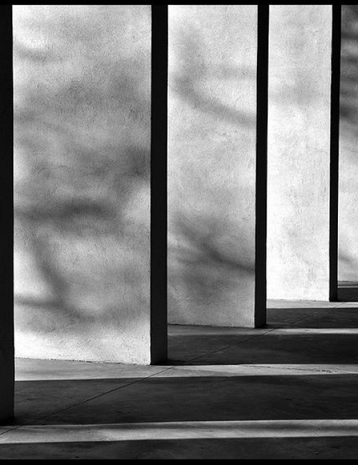 Панно и фотообои JWall One WJE00911