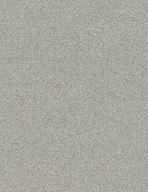 Обои Rasch Passepartout 607253