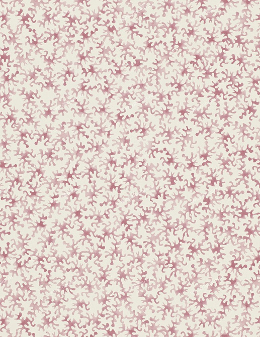 Обои Sanderson Emma Bridgewater 213628