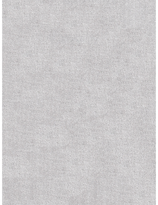 Ткань Fabricut Modern Nuances Grey Evanescence/Silver