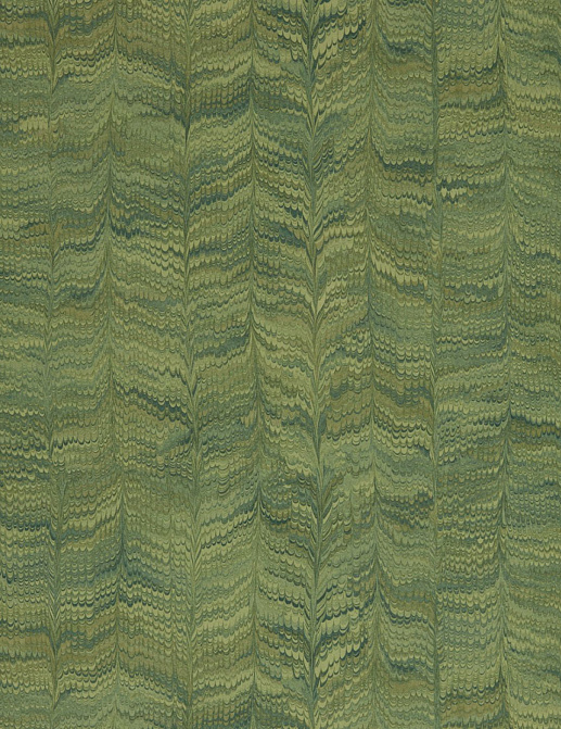 Обои Zoffany Endpapers 313084
