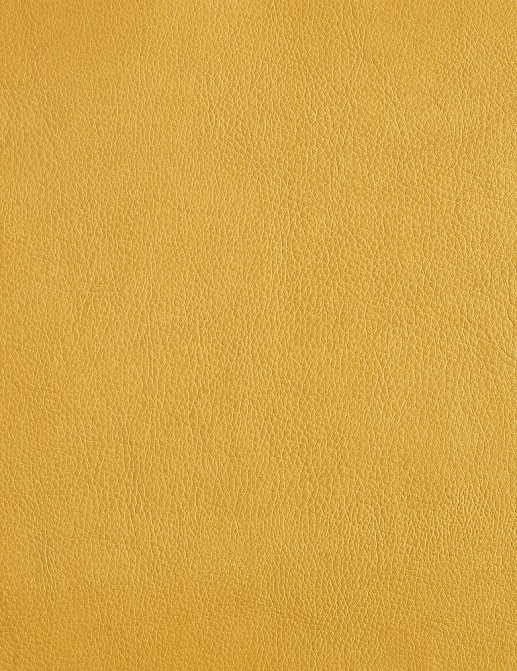 Ткань Houles Iggy/Iman 72706-9100