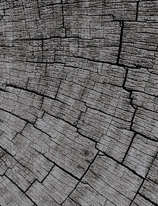 Панно и фотообои Glamora Creative Wallcovering GLCR024A