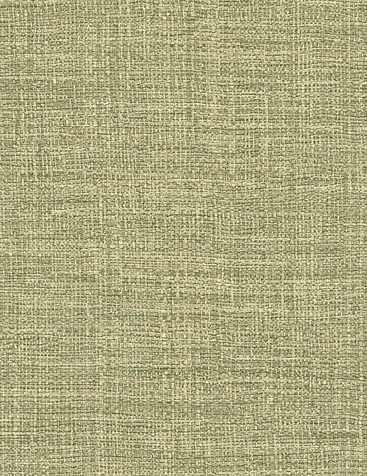 Обои Elitis Madagascar Arrowroot Raw Raffia VP73161