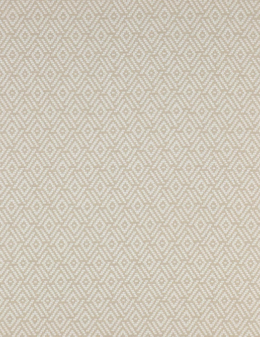 Ткань Colefax and Fowler Alberry F3915/01