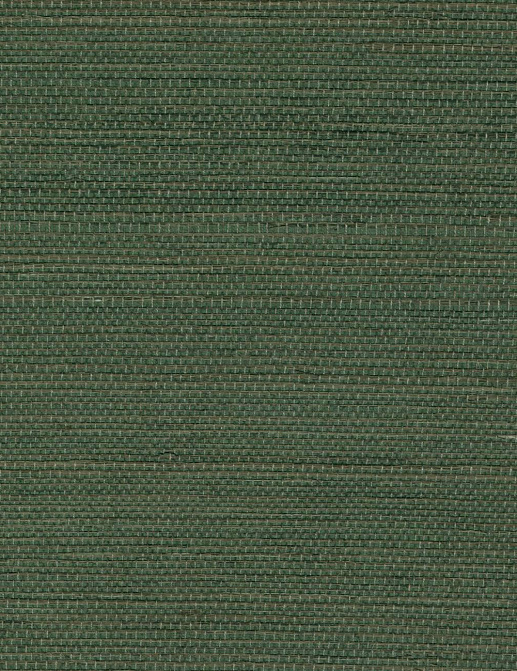 Обои Elitis Tribus RM106962