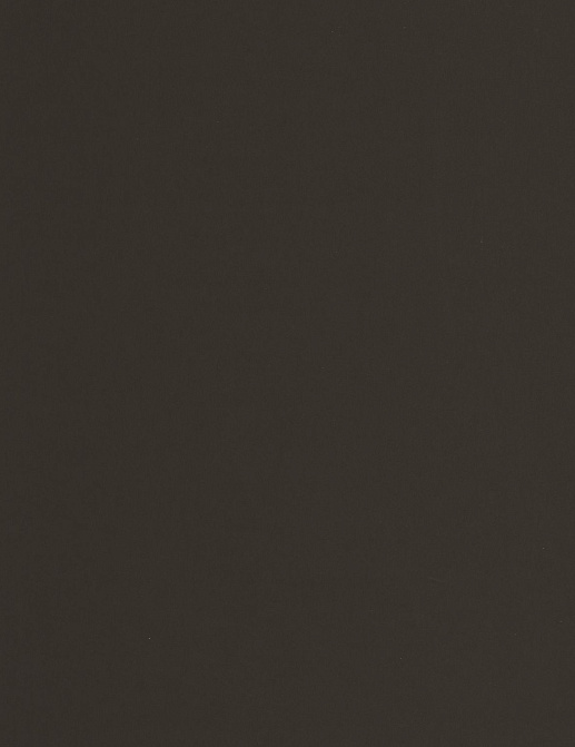 Обои Casadeco Galons & Frises GAFR200339559