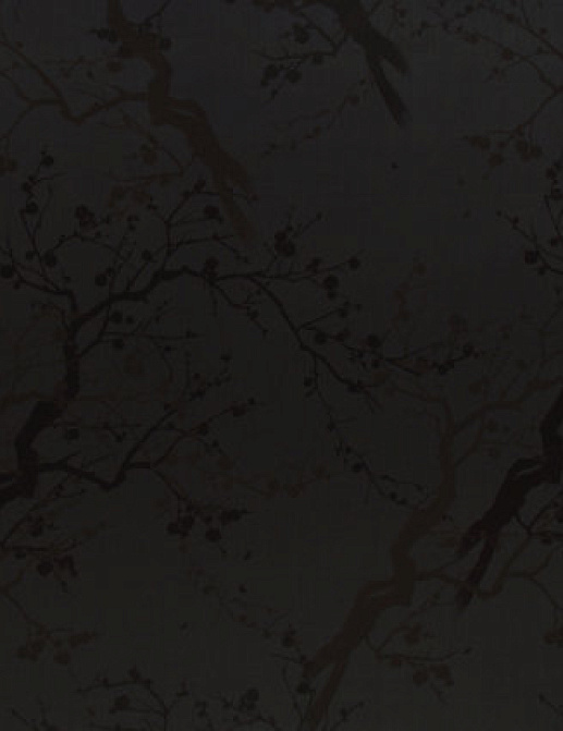 Ткань Designers Guild Kibushi F1390/07