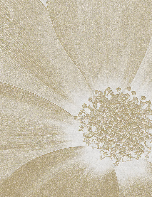 Панно и фотообои Italreflexes Macro Flower-013/Gypsum