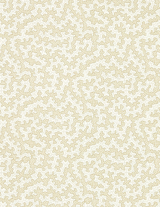Обои Sanderson Arboretum 217243