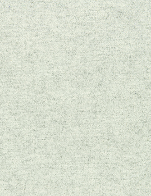 Ткань Designers Guild Cheviot F1865/04