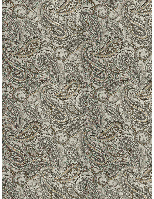 Ткань Fabricut Chromatics Vol.XXIII Charcoal Drupes paisley/Slate