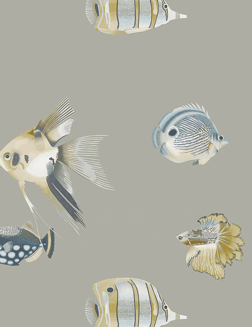 Обои Harlequin Anthozoa 111646