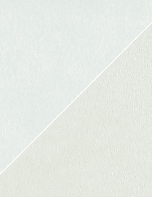 Ткань Christian Lacroix Atelier Camargue FCL2270/17