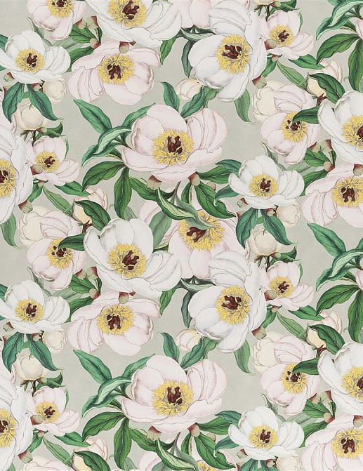 Ткань Designers Guild Picture Book Prints FJD6004/01
