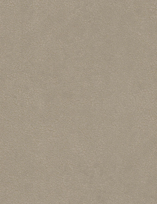 Обои Casamance Select 5 C72350335