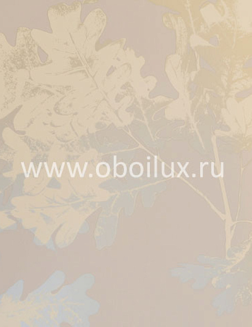 Обои Osborne & Little Walk in the Park W5875-01