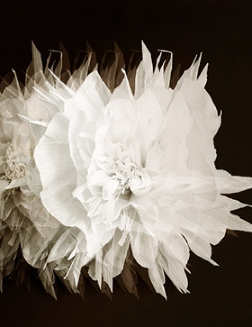 Панно и фотообои Wall & Deco 2015 WDCI1501